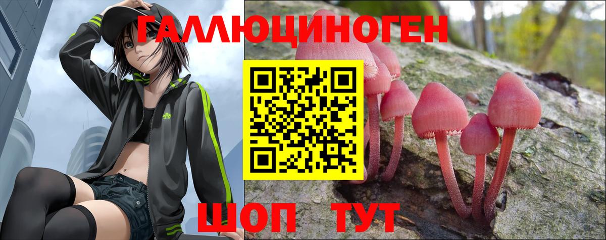 Псилоцибиновые грибы GOLDEN TEACHER Выкса
