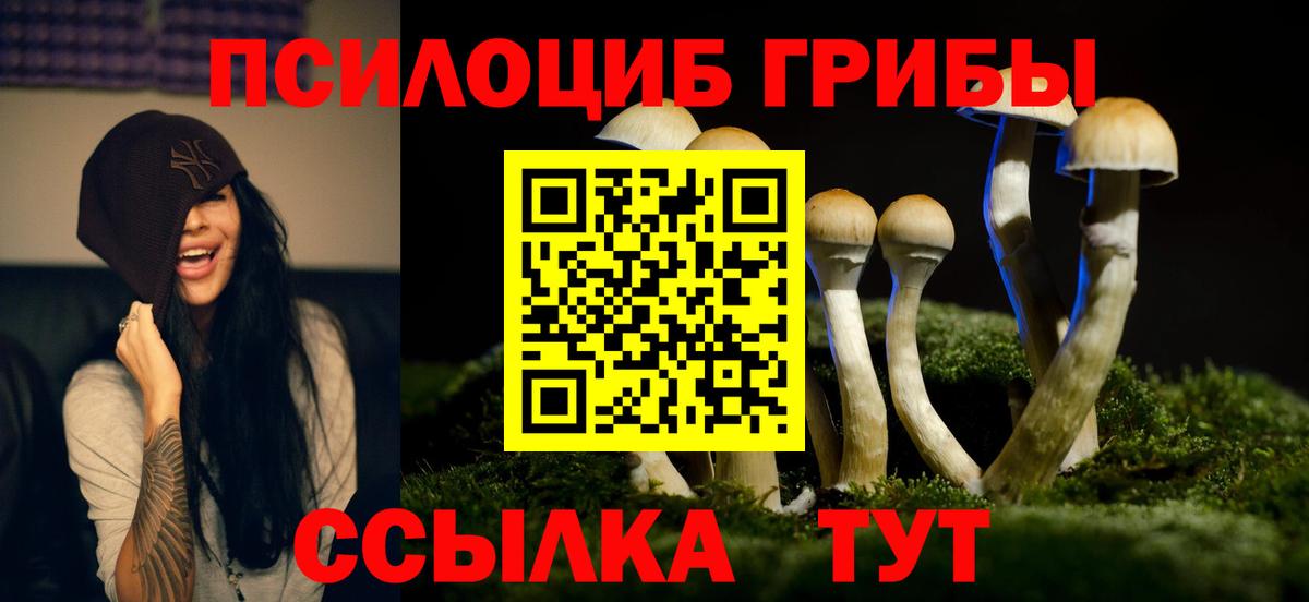 Псилоцибиновые грибы ЛСД  Галлюциногенные грибы Psilocybe  Вход с VPN  Выкса 